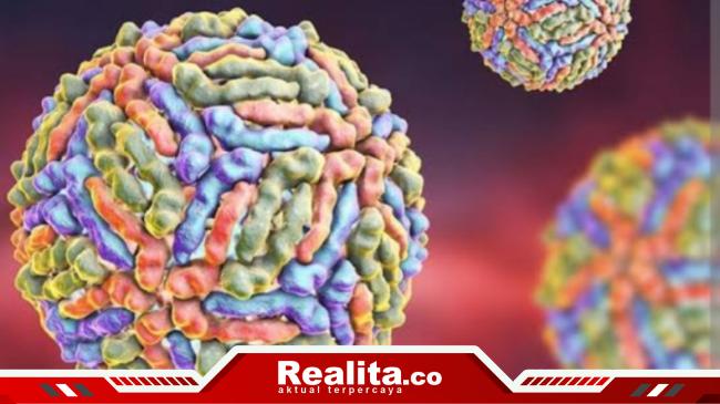 Israel Diserang Virus West Nile Mematikan, Gejalanya Mirip Flu