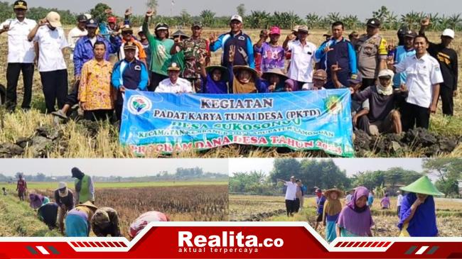 Menghadapi Kemarau, Petani Desa Sukosongo Lamongan Padat&nbsp;Karya